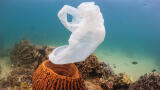 Easy Analysis of Dissolved Polymers in Seawater by Pyrolysis